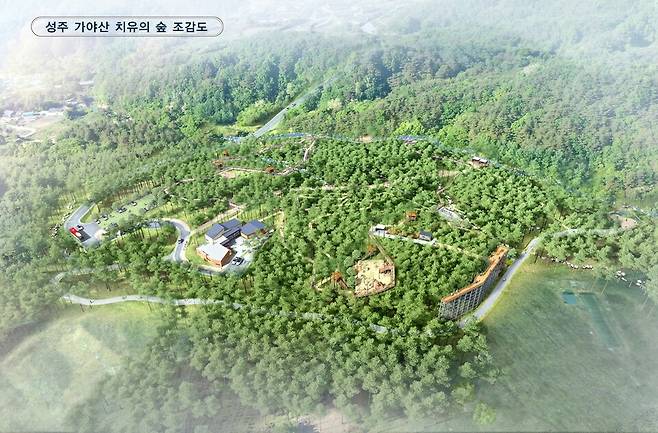 성주 가야산 치유의 숲 조감도ⓒ성주군