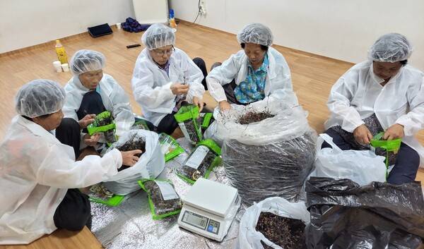 출자자이면서 직원인 마을 어르신들이 건나물 포장작업을 하고 있다. /고소한 마을