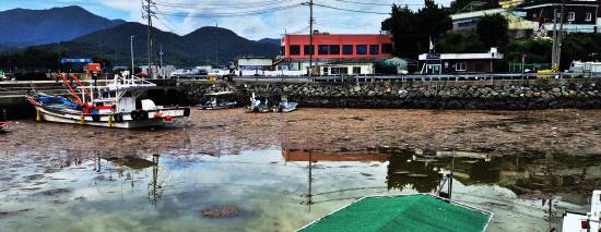 폭우로 떠밀려온 쓰레기 등 각종 부유물이 남해읍 선소항에 쌓여 있다. 경남일보(https://www.gnnews.co.kr)