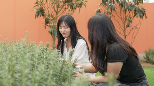 국립정원문화원 갤러리 온실을 방문한 관람객이 로즈마리 향을 맡고 있다. 한국수목원정원관리원 제공
