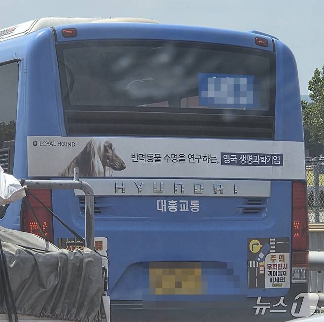 로얄하운드의 버스 광고 ⓒ 뉴스1 한송아 기자