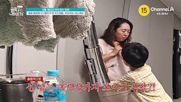 ⓒ채널A
