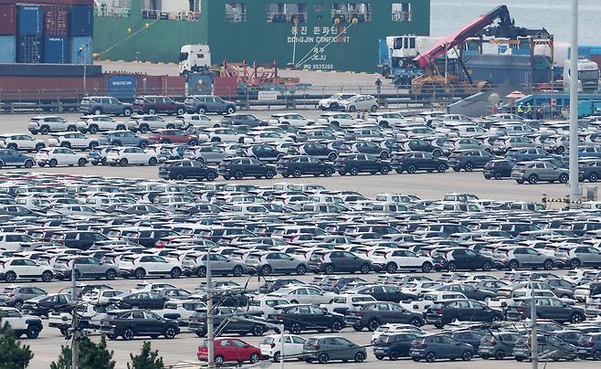 31일 경기 평택시 포승읍 평택항에 수출용 차량이 세워져 있다. /뉴스1