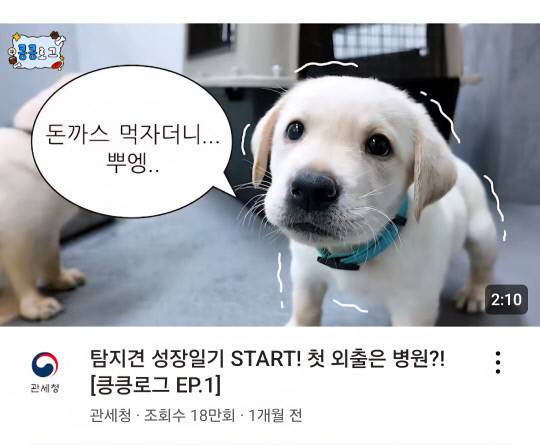 관세청 유튜브 갈무리