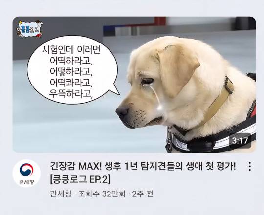 관세청 유튜브 갈무리