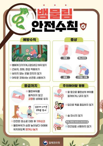 사진=질병관리청 제공