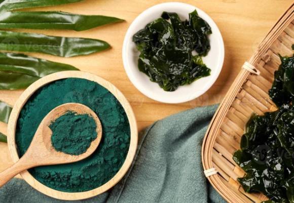 미역, 다시마, 톳, 김, 파래 등 해조류가 혈압을 낮추는 데 도움이 될 수 있다는 연구 결과가 나왔다. 사진은 본 기사 내용과 무관. [사진= Vecteezy]