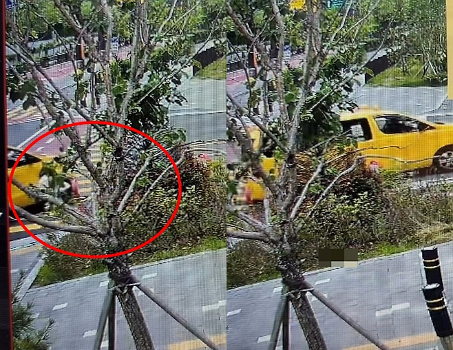 스쿨버스가 보행신호에서 길을 건너던 초등학생을 쳤다. [사진 = 인스타그램]