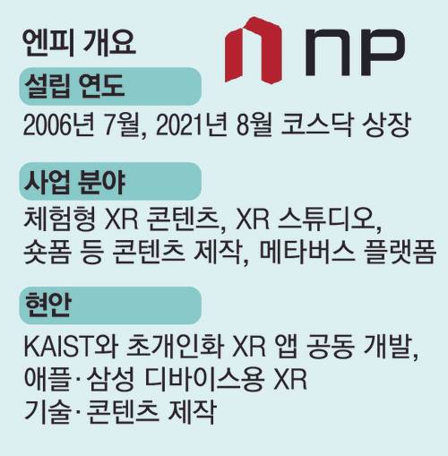 19엔피개요