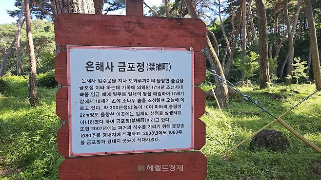 은해사 금포정