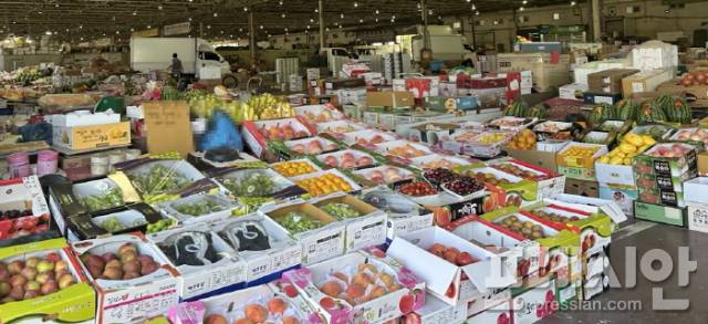 ▲중도매인 사무실 앞에 놓인 과일들 ⓒ프레시안