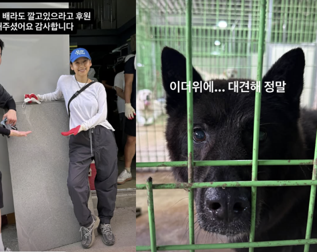 이효리 인스타그램 캡처