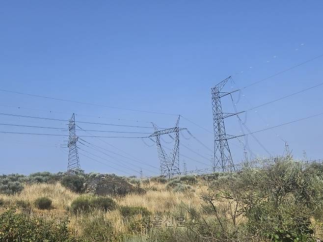 스페인 서북부 살라망카주 ‘알데아다빌라댐’ 인근에 전신주와 전선이 빼곡하게 늘어서 있다.  살라망카 장진복 기자