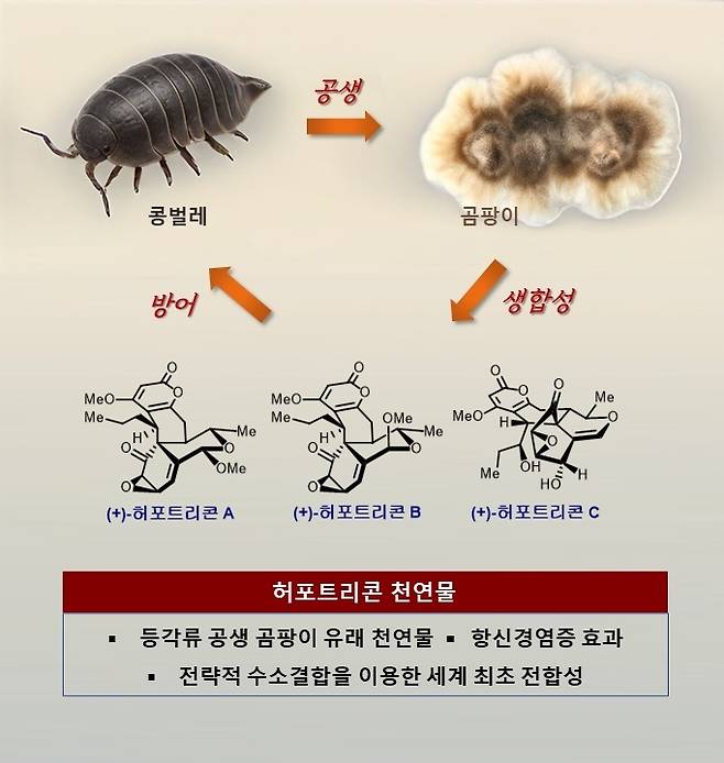 연구 모식도 [KAIST 제공. 재판매 및 DB 금지]