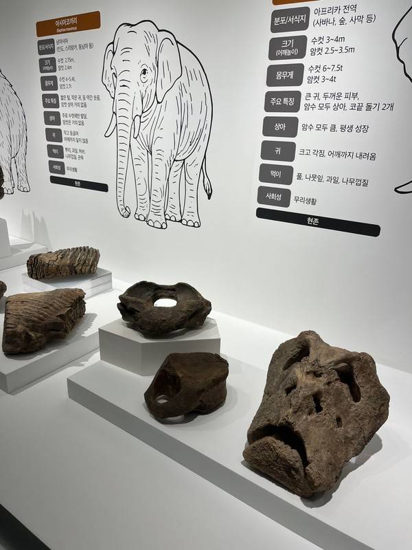 [사진=경기문화재단]