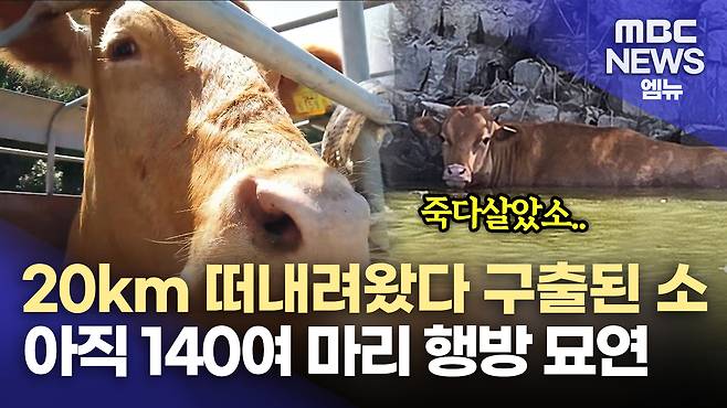 뉴스 관련 사진