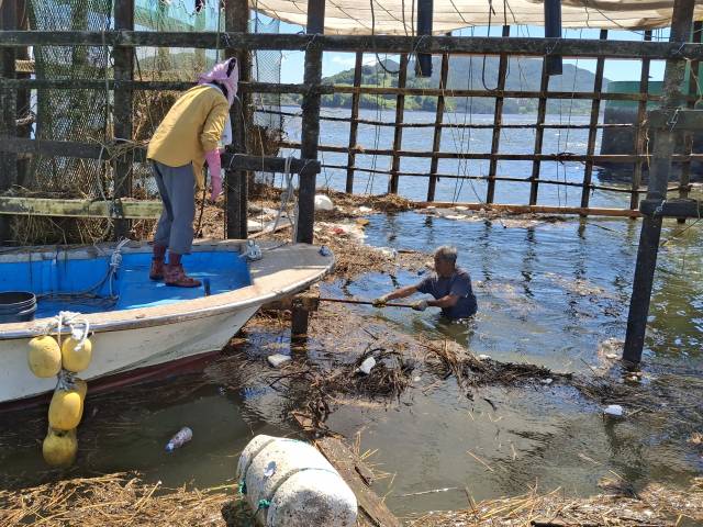 사천의 자랑인 죽방렴 역시 생선 대신 해양쓰레기가 밀려 들면서 곤욕을 치르고 있다. 어민들은 생업을 중단한 채 쓰레기 수거에 집중하고 있다. 사천시 제공