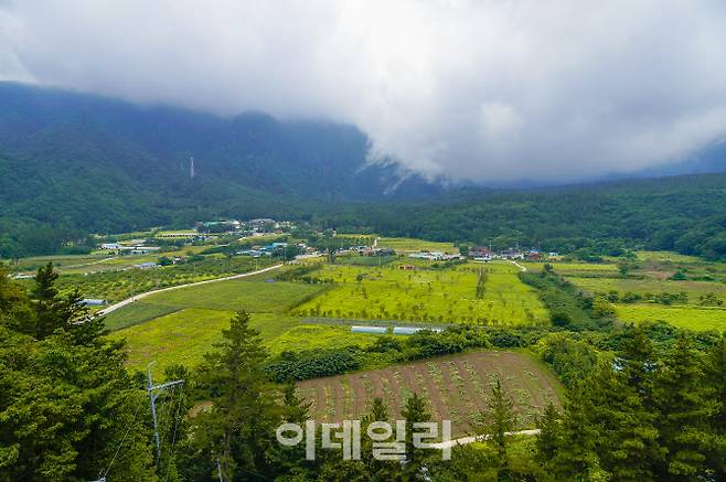 울릉도에서 유일한 평야인 나리분지