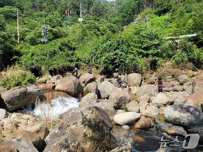 실종된 지리산국립공원공단 직원을 찾기 위해 경찰과 소방 등이 합동 수색을 펼치고 있다(소방 제공. 재판매 및 DB금지) 2025.7.31