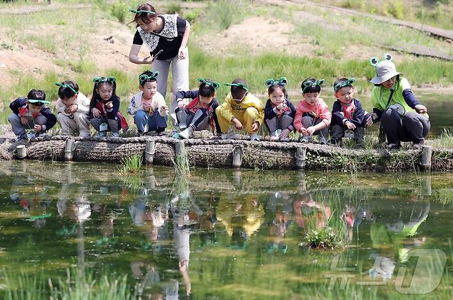 광주 북구 화암동 평두메습지에서 열린 ‘람사르습지 탐험대’ 프로그램에 참가한 해달별 어린이집 아이들이 습지에 서식하는 올챙이와 곤충들을 관찰하며 자연의 소중함을 느껴보고 있다.(광주 북구 제공. 재판매 및 DB 금지) 2025.5.12/뉴스1 ⓒ News1 박지현 기자