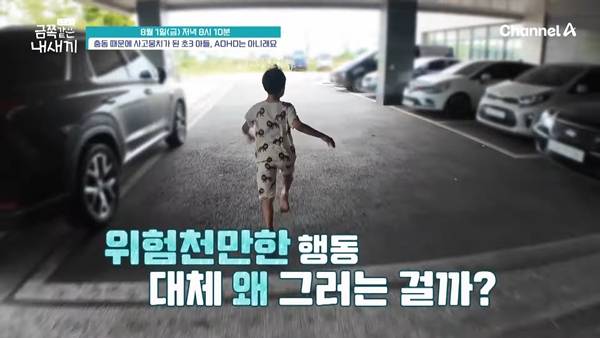 ⓒ채널A