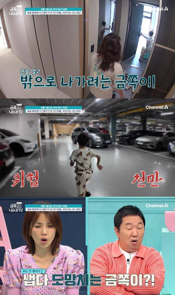 ⓒ채널A