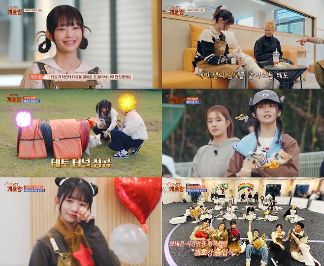 ‘집 나가면 개호강’ 레이, 따뜻한 마지막 인사 (제공: JTBC ‘집 나가면 개호강’)