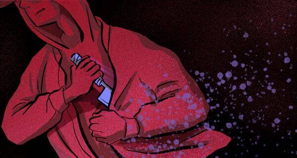 흉기 소지 그래픽. /조선일보DB