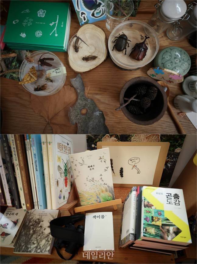 ⓒ데일리안 방규현 기자