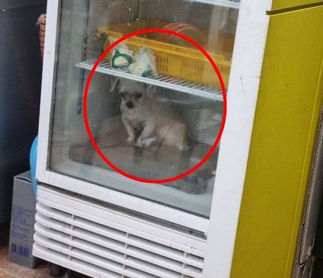 사진=온라인 커뮤니티