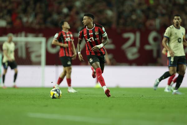 사진=디드라이브