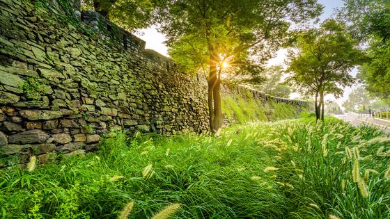 한양의 수도성곽인 한양도성 남산구간. [사진 서울시]
