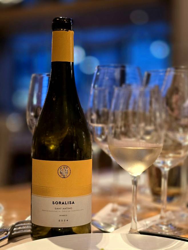 판티 소랄리사. 최현태 기자