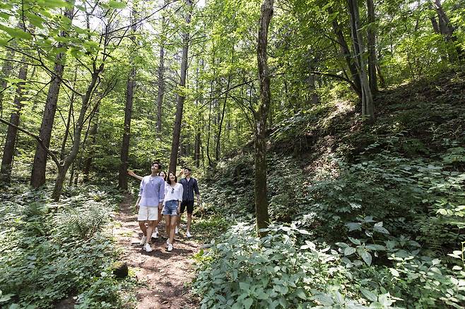 태기산 둘레길 숲체험