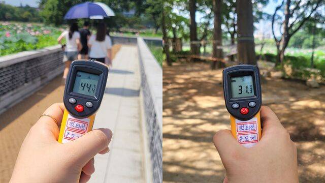 지난달 24일 덕진공원 연화교에서 측정한 온도(44.4도)와 나무 그늘이 있는 야호 숲 놀이터의 온도(31.3도)가 13도가량 차이 난다. 문채연 기자