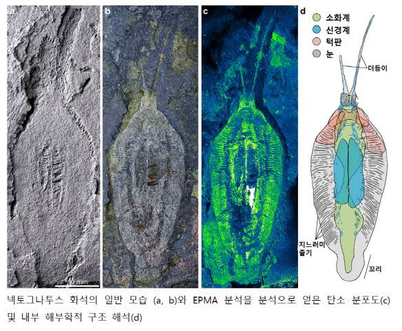 (자료=극지연구소)