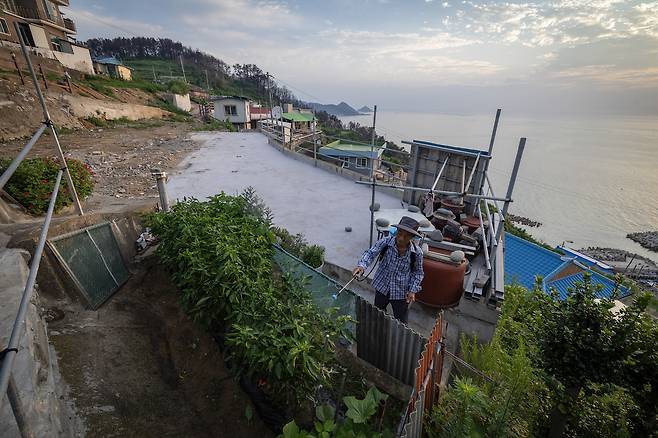 김재봉 할아버지가 이른 아침 산불로 전소된 자신의 집터 한켠에 마련한 텃밭에 심은 고추에 농약을 주고 있다. 김 할아버지는 대피소에서 임시 숙소로 돌아온 후 속상한 마음을 다스리기 위해 소소하게 작물을 키우기 시작했다. 전민규 기자