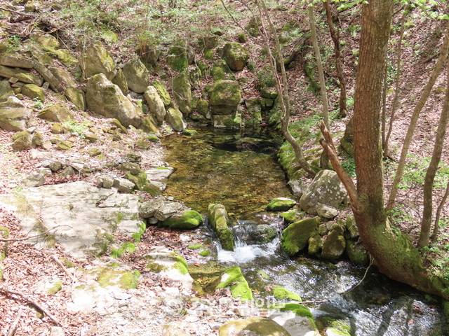 ▲ ‘제29회 한강 발원제, 용신제’가 3일 태백시 창죽동 검룡소 첫물지리생태원 일원에서 이진수 대한노인회 태백시지회장, 김동균 태백부시장, 허민 태백상록회장 등 기관단체장과 시민들이 참석한 가운데 봉행돼 태백시민의 안녕과 지역 발전을 기원한다. 검룡소. 전인수