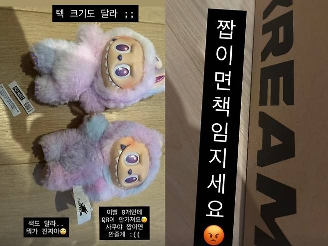 보아 소셜미디어