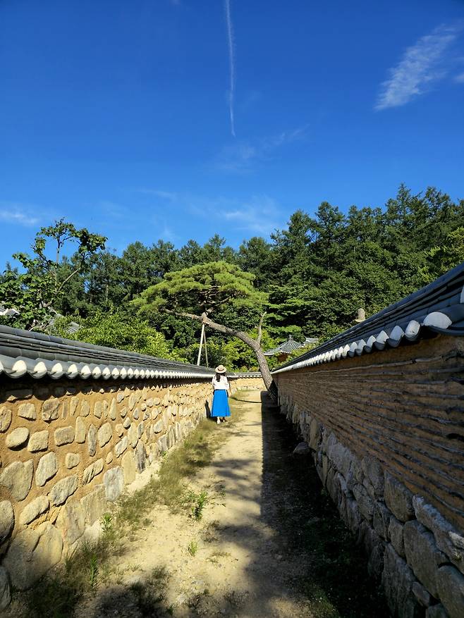 고샅.