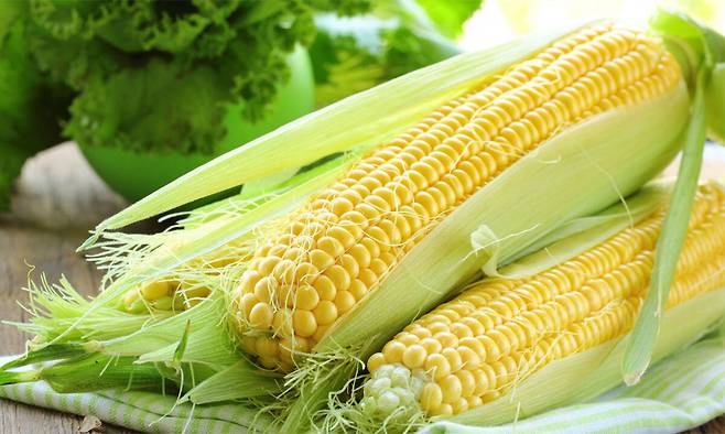 옥수수는 미국 원주민의 주식이었다. 그래서 미국의 버번위스키와 맥주에는 옥수수가 들어간다. 미국 주류에는 원주민의 문화가 녹아 있는 셈이다.