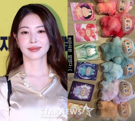 /사진=스타뉴스, 보아 SNS