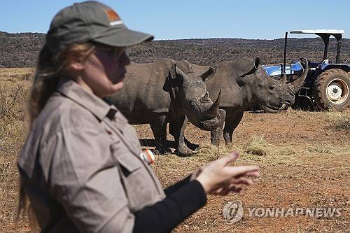코뿔소 뿔에 방사성 물질 주입하는 프로젝트 [AP=연합뉴스]