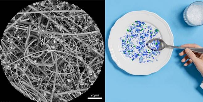 성인이 매일 흡입하는 1~10마이크로미터(μm) 크기의 미세 플라스틱이 약 6만 8000개에 달한 것으로 나타났다. [죄측 사진=PLOS One / 우측=게티이미지뱅크]