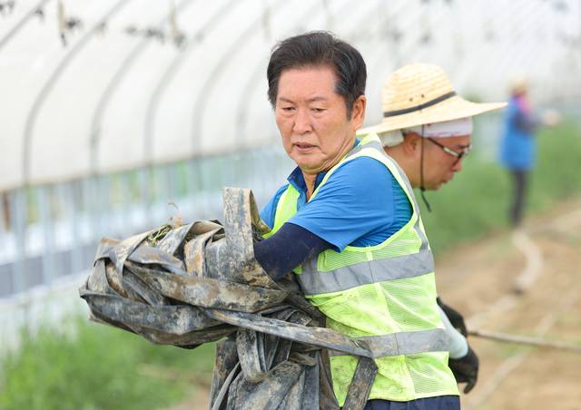 정청래 신임 더불어민주당 대표가 3일 오전 전남 나주시 노안면 오이농가를 찾아 수해 복구 작업을 하고 있다. [연합뉴스]