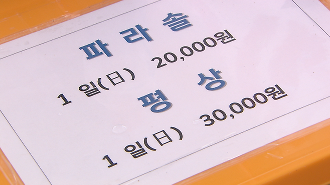 파라솔 이용 요금을 2만 원으로 낮춘 해수욕장