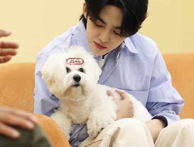 Seventeen member S.Coups holds his Coton de Tulear Gogooma in a YouTube video. [SCREEN CAPTURE]