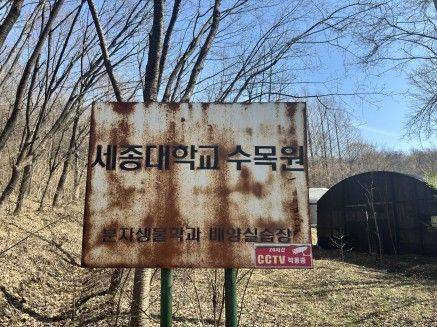 세종대학교가 경기 성남 도촌동 및 하대원동 일대에 보유하고 있는 교육용 부지가 사실상 방치돼있는 모습. 정을호 의원실 제공