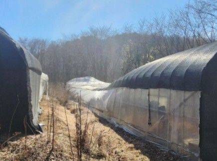 세종대학교가 경기 성남 도촌동 및 하대원동 일대에 보유하고 있는 교육용 부지가 사실상 방치돼있는 모습. 정을호 의원실 제공