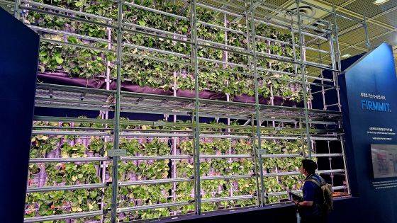 스마트농장/사진=류준영 기자